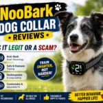 NooBark Dog Collar Reviews Is It Legit or a Scam