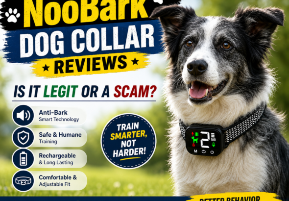 NooBark Dog Collar Reviews Is It Legit or a Scam